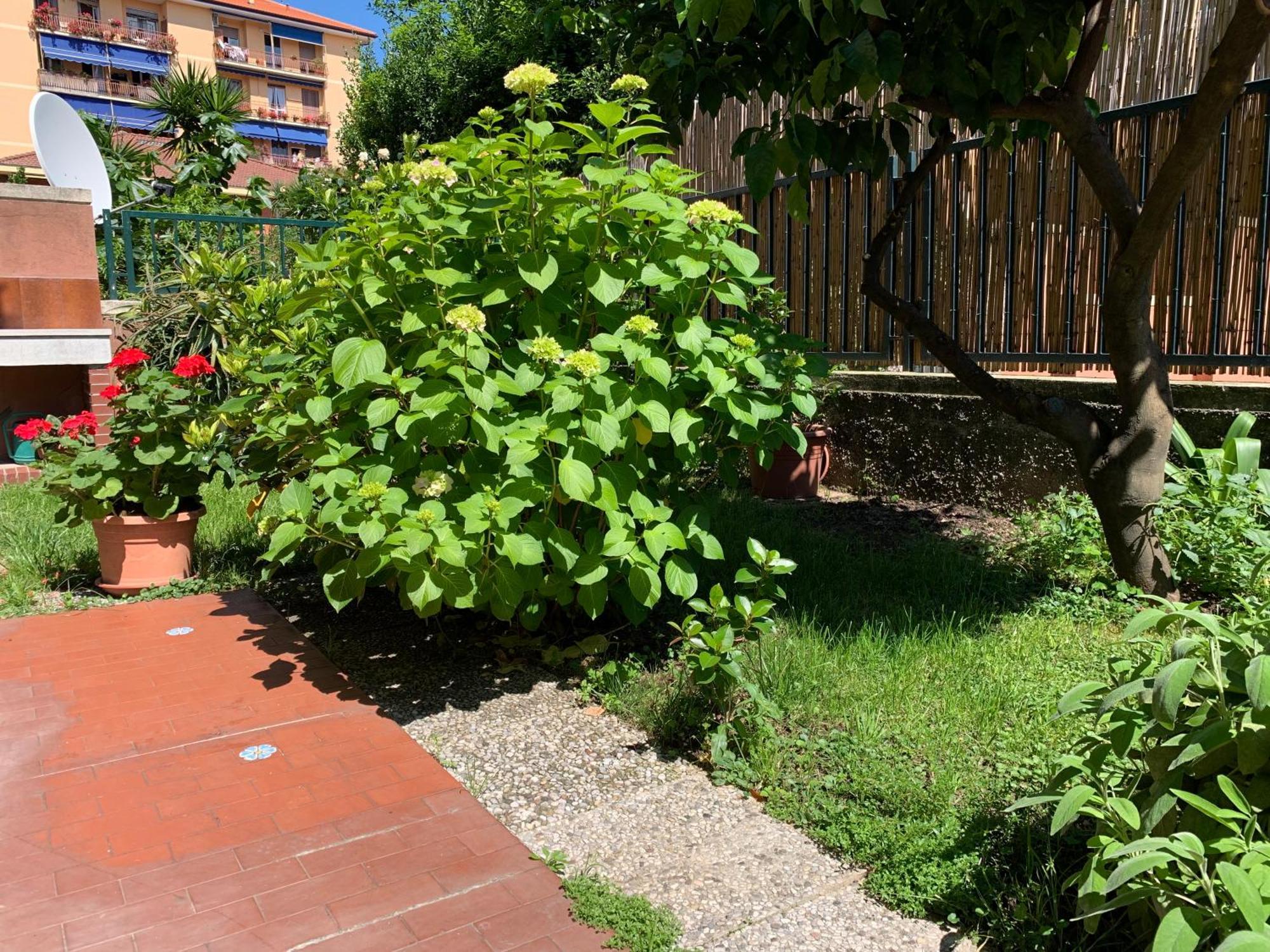 Il Giardino Dei Limoni Leilighet Chiavari Eksteriør bilde